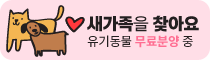 유기동물 무료분양합니다. 